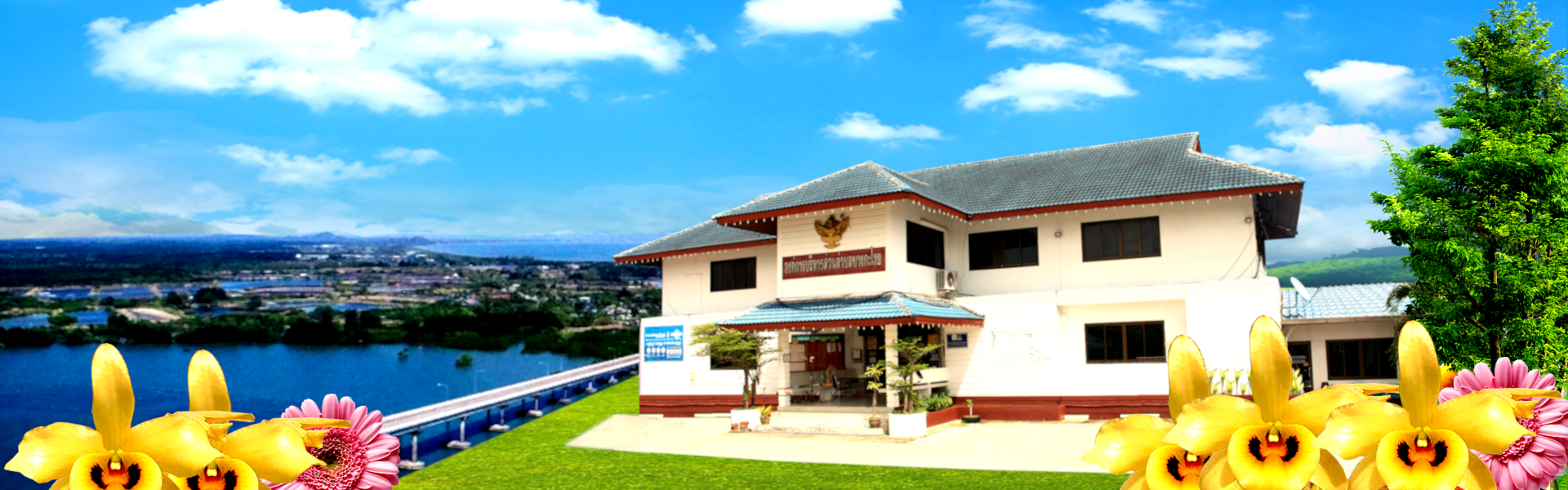 พื้นหลัง